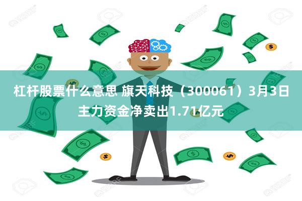 杠杆股票什么意思 旗天科技（300061）3月3日主力资金净卖出1.71亿元