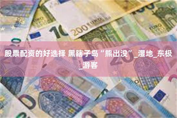 股票配资的好选择 黑瞎子岛“熊出没”_湿地_东极_游客
