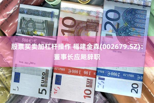 股票买卖加杠杆操作 福建金森(002679.SZ)：董事长应飚辞职