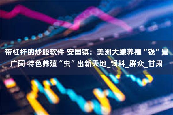 带杠杆的炒股软件 安国镇：美洲大蠊养殖“钱”景广阔 特色养殖“虫”出新天地_饲料_群众_甘肃