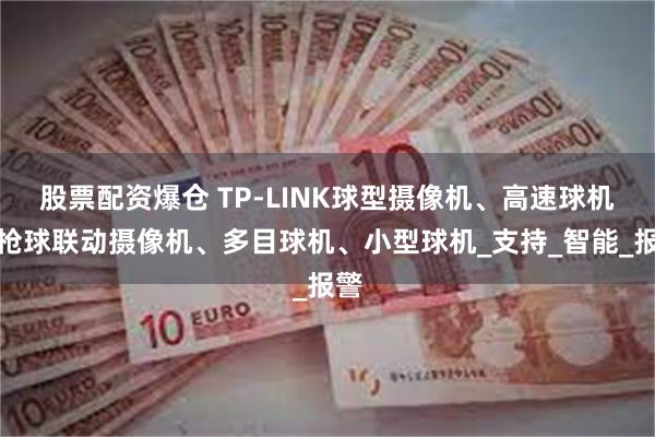 股票配资爆仓 TP-LINK球型摄像机、高速球机、枪球联动摄像机、多目球机、小型球机_支持_智能_报警