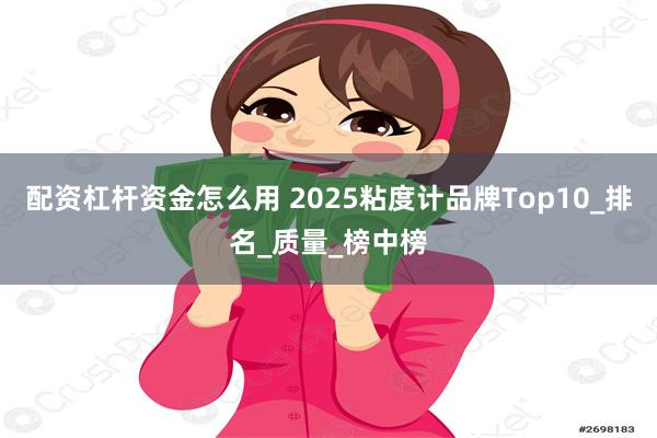 配资杠杆资金怎么用 2025粘度计品牌Top10_排名_质量_榜中榜