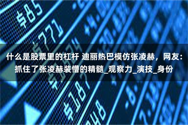 什么是股票里的杠杆 迪丽热巴模仿张凌赫，网友：抓住了张凌赫装懵的精髓_观察力_演技_身份