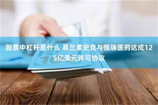 股票中杠杆是什么 葛兰素史克与恒瑞医药达成125亿美元许可协议