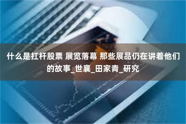 什么是扛杆股票 展览落幕 那些展品仍在讲着他们的故事_世襄_田家青_研究