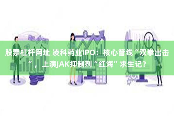 股票杠杆网址 凌科药业IPO:核心管线“双拳出击”,上演JAK抑制剂“红海”求生记?