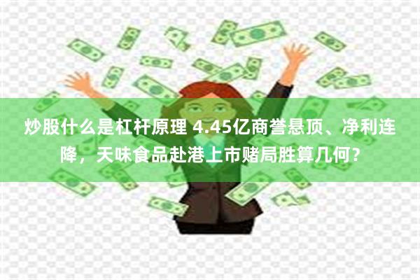炒股什么是杠杆原理 4.45亿商誉悬顶、净利连降，天味食品赴港上市赌局胜算几何？